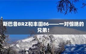 斯巴鲁BRZ和丰田86——一对惊艳的兄弟！