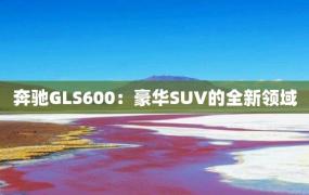 奔驰GLS600：豪华SUV的全新领域