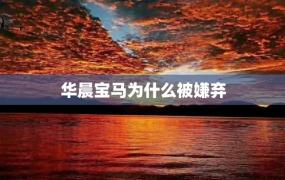 华晨宝马为什么被嫌弃