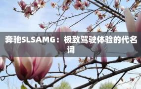 奔驰SLSAMG：极致驾驶体验的代名词