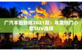 广汽丰田致炫2021款：年度热门小型SUV选择