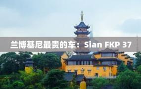 兰博基尼最贵的车：Sian FKP 37