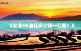 《哈弗H6油耗多少钱一公里？》