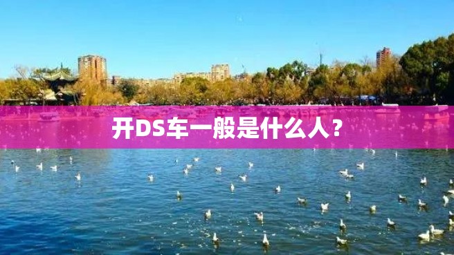 开DS车一般是什么人？