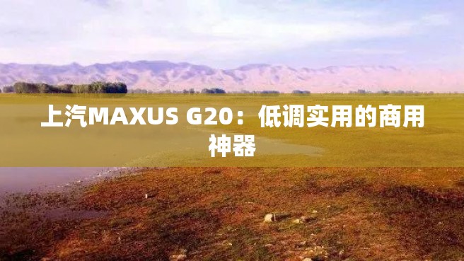 上汽MAXUS G20：低调实用的商用神器