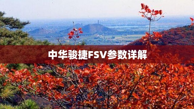 中华骏捷FSV参数详解