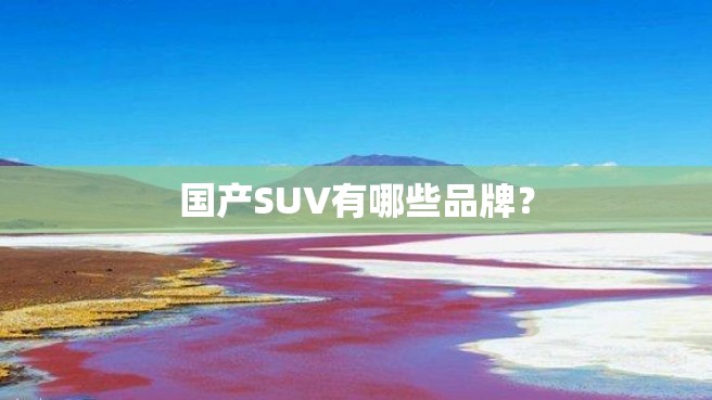 国产SUV有哪些品牌？