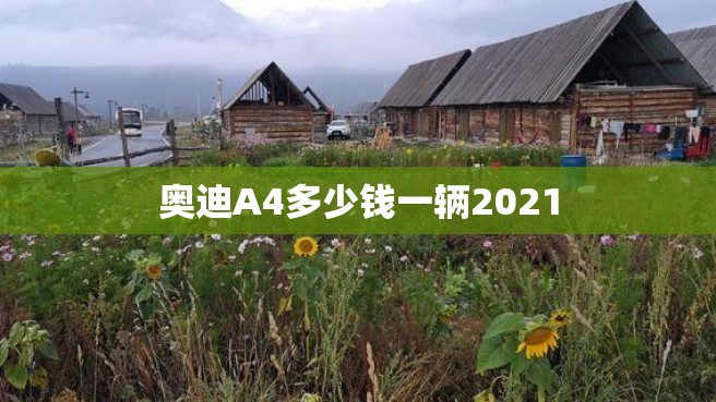 奥迪A4多少钱一辆2021