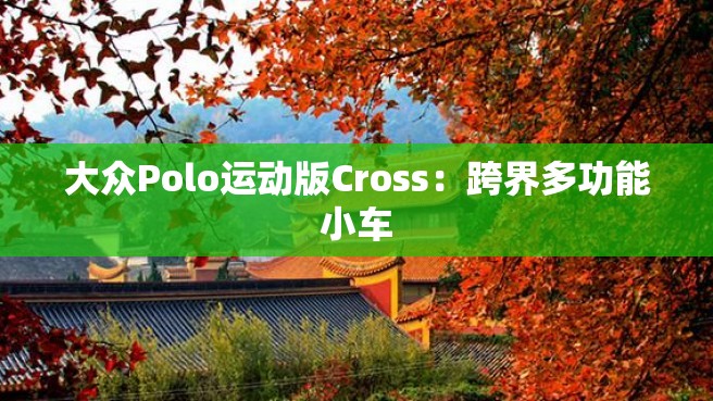 大众Polo运动版Cross：跨界多功能小车