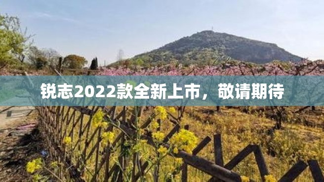 锐志2022款全新上市，敬请期待