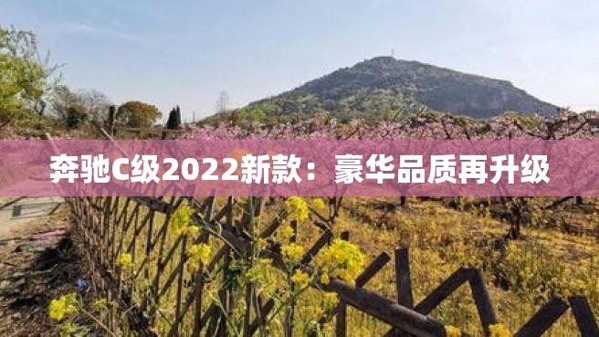 奔驰C级2022新款：豪华品质再升级