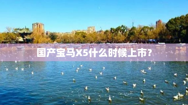 国产宝马X5什么时候上市？