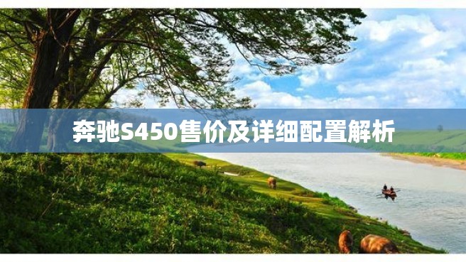 奔驰S450售价及详细配置解析