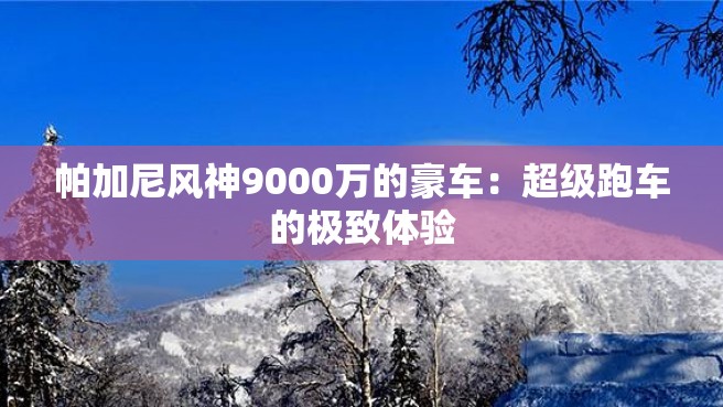 帕加尼风神9000万的豪车：超级跑车的极致体验