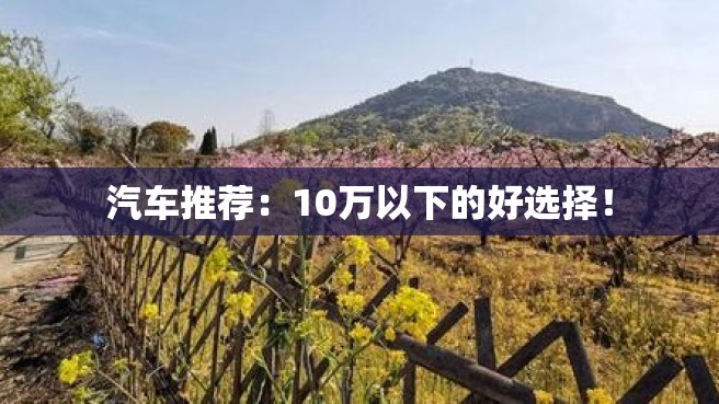 汽车推荐：10万以下的好选择！