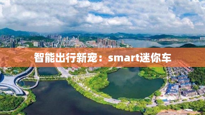 智能出行新宠：smart迷你车