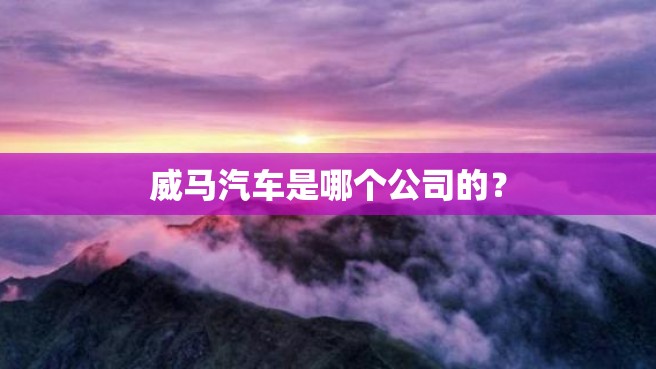 威马汽车是哪个公司的？