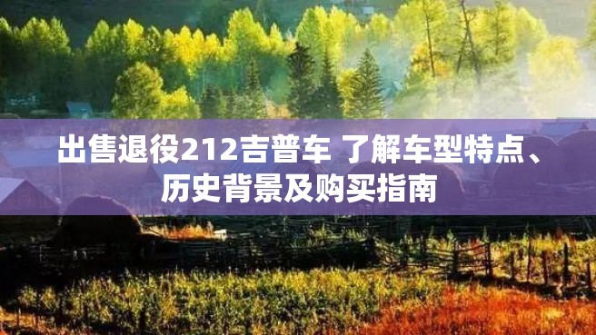 出售退役212吉普车 了解车型特点、历史背景及购买指南