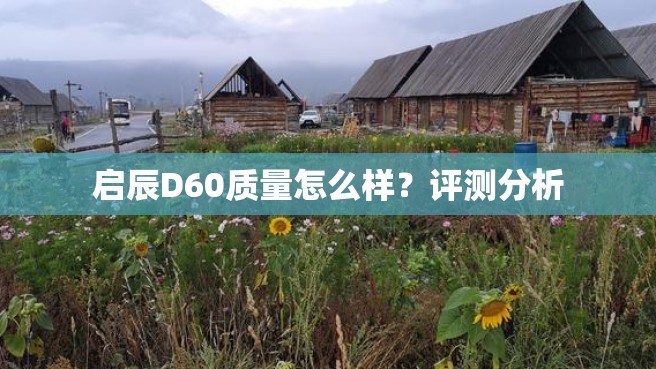 启辰D60质量怎么样？评测分析