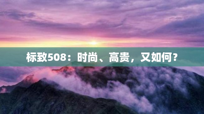 标致508：时尚、高贵，又如何？