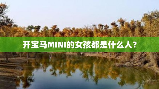 开宝马MINI的女孩都是什么人？