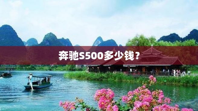 奔驰S500多少钱？