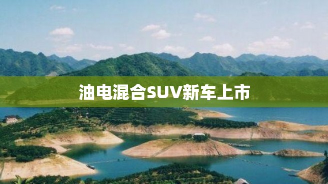 油电混合SUV新车上市