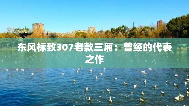 东风标致307老款三厢：曾经的代表之作