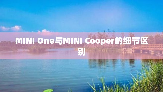 MINI One与MINI Cooper的细节区别