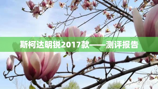 斯柯达明锐2017款——测评报告