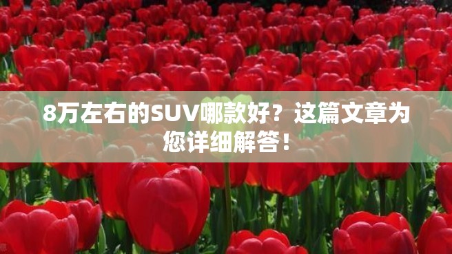 8万左右的SUV哪款好？这篇文章为您详细解答！