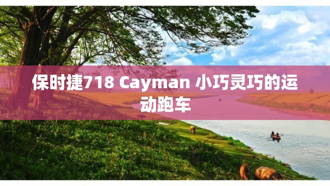 保时捷718 Cayman 小巧灵巧的运动跑车