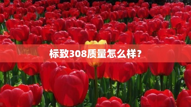 标致308质量怎么样？