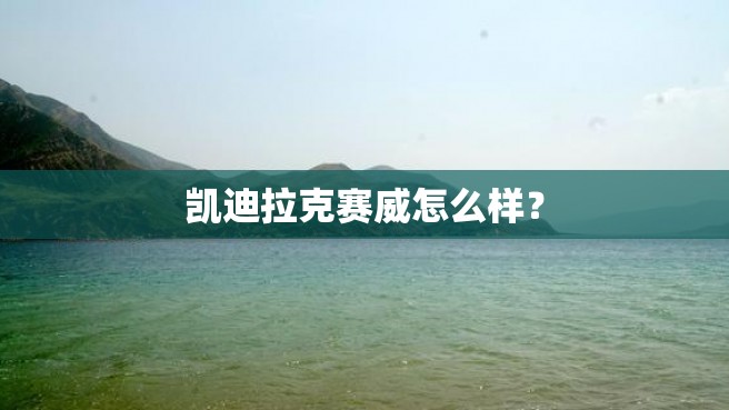 凯迪拉克赛威怎么样？