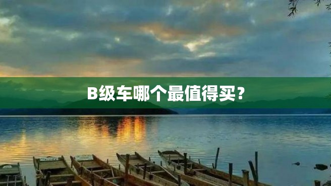 B级车哪个最值得买？