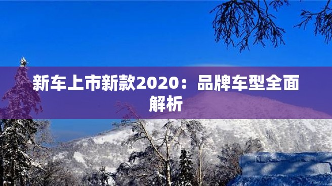 新车上市新款2020：品牌车型全面解析