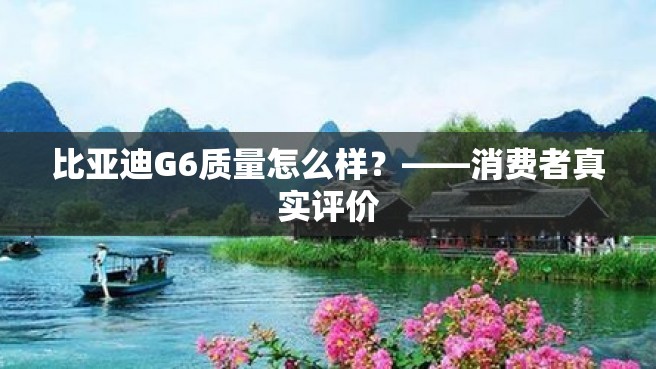 比亚迪G6质量怎么样？——消费者真实评价