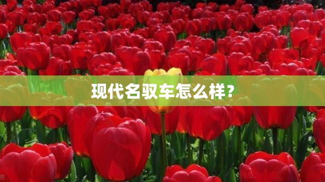 现代名驭车怎么样？