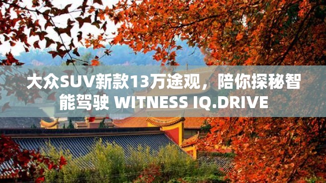 大众SUV新款13万途观，陪你探秘智能驾驶 WITNESS IQ.DRIVE