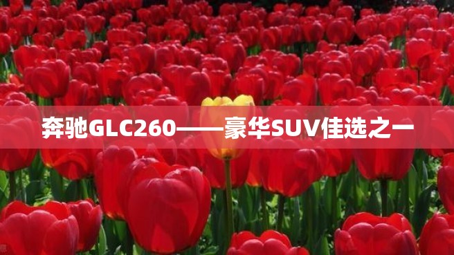 奔驰GLC260——豪华SUV佳选之一