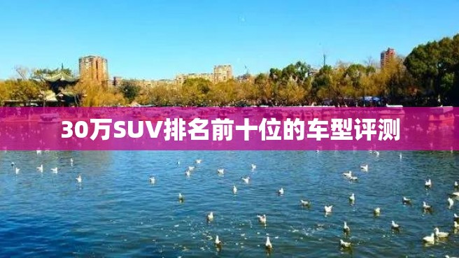 30万SUV排名前十位的车型评测