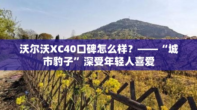 沃尔沃XC40口碑怎么样？——“城市豹子”深受年轻人喜爱