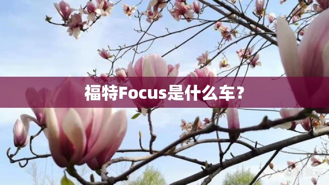 福特Focus是什么车？