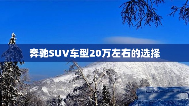 奔驰SUV车型20万左右的选择