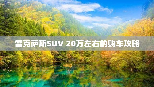 雷克萨斯SUV 20万左右的购车攻略