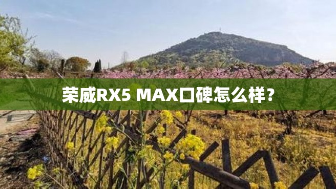 荣威RX5 MAX口碑怎么样？