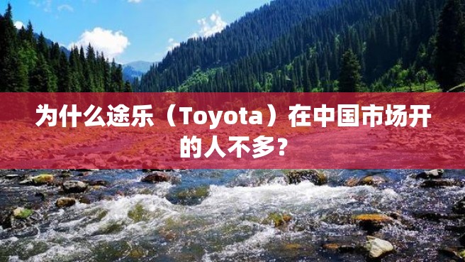 为什么途乐（Toyota）在中国市场开的人不多？