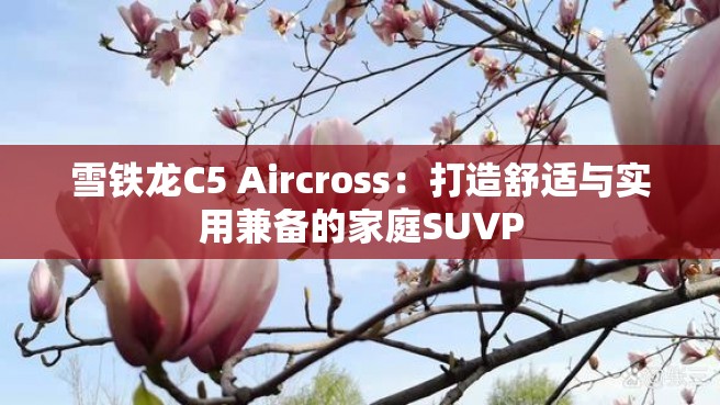 雪铁龙C5 Aircross：打造舒适与实用兼备的家庭SUVP