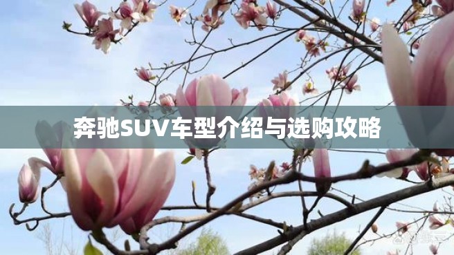 奔驰SUV车型介绍与选购攻略