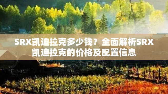 SRX凯迪拉克多少钱？全面解析SRX凯迪拉克的价格及配置信息